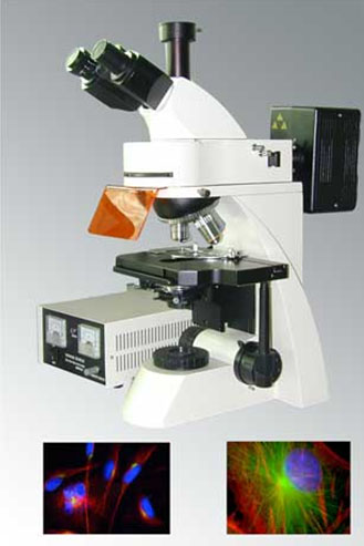 microscopul